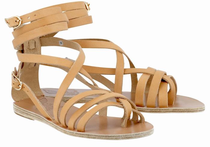 Ancient Greek Sandals Satira Leather Donna Sandali Da Gladiatore Beige | NPY9555TX