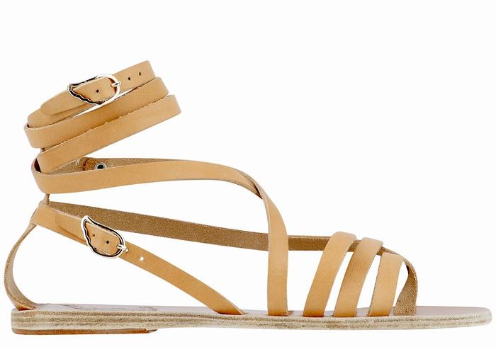 Ancient Greek Sandals Satira Leather Donna Sandali Da Gladiatore Beige | NPY9555TX