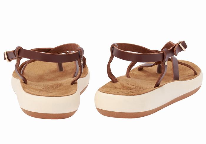 Ancient Greek Sandals Semele Comfort Donna Sandali Con Cinturino Sul Retro Caffè | FUN10066LX