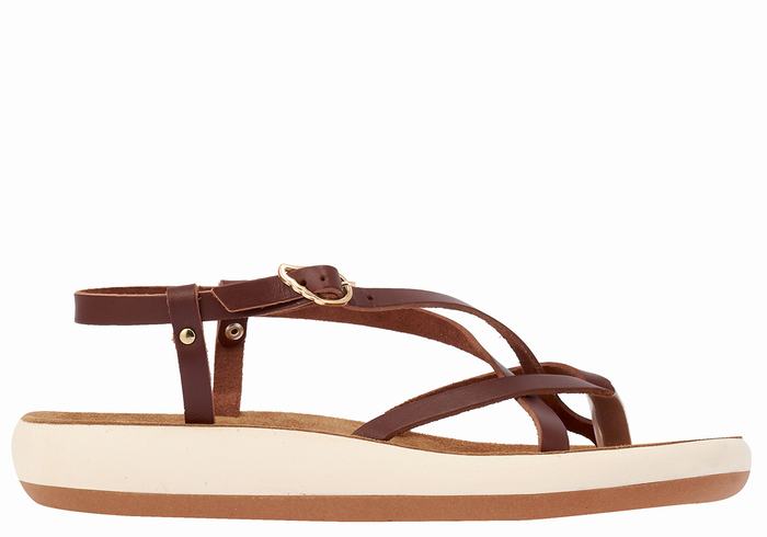 Ancient Greek Sandals Semele Comfort Donna Sandali Con Cinturino Sul Retro Caffè | FUN10066LX