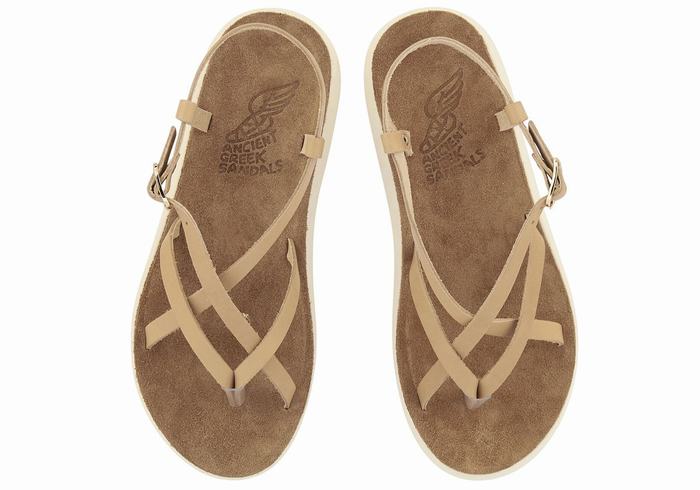 Ancient Greek Sandals Semele Comfort Donna Sandali Con Cinturino Sul Retro Beige | OBY6374RJ