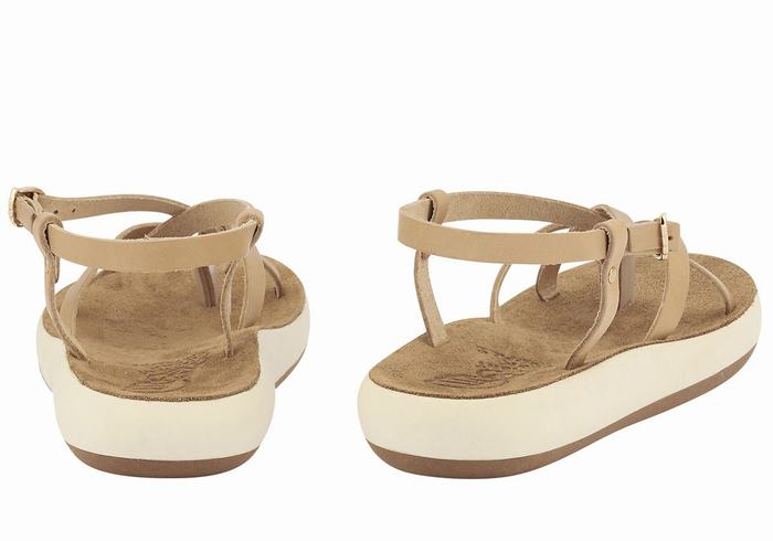 Ancient Greek Sandals Semele Comfort Donna Sandali Con Cinturino Sul Retro Beige | OBY6374RJ