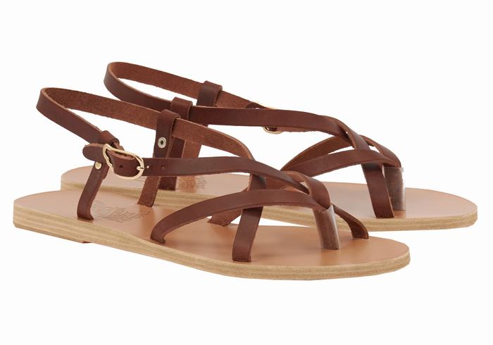 Ancient Greek Sandals Semele Leather Donna Sandali Con Cinturino Sul Retro Caffè | ODZ9268FA