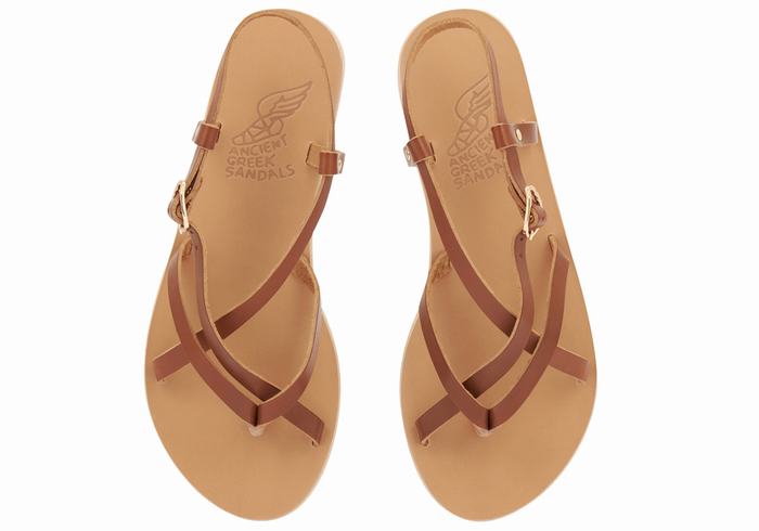 Ancient Greek Sandals Semele Leather Donna Sandali Con Cinturino Sul Retro Marroni Scuro | EOU627OU