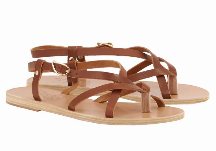 Ancient Greek Sandals Semele Leather Donna Sandali Con Cinturino Sul Retro Marroni Scuro | EOU627OU