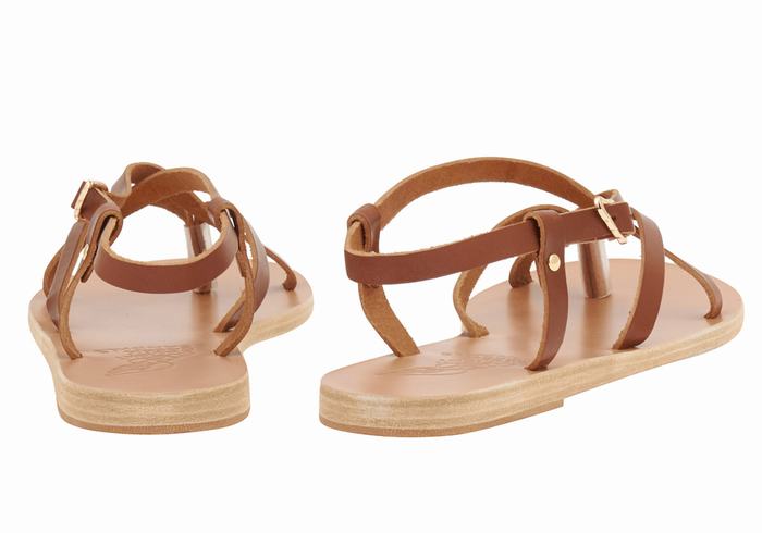 Ancient Greek Sandals Semele Leather Donna Sandali Con Cinturino Sul Retro Marroni Scuro | EOU627OU