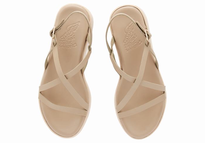 Ancient Greek Sandals Silia Leather Donna Sandali con Plateau Grigie Marroni | IHC2964GI