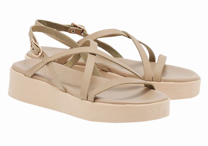 Ancient Greek Sandals Silia Leather Donna Sandali con Plateau Grigie Marroni | IHC2964GI