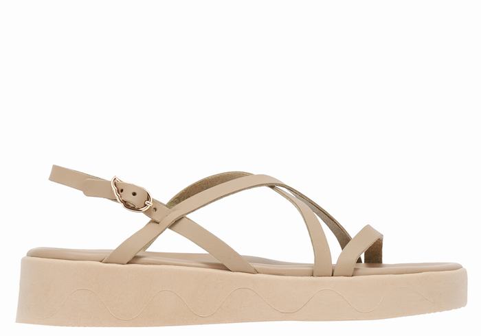 Ancient Greek Sandals Silia Leather Donna Sandali con Plateau Grigie Marroni | IHC2964GI