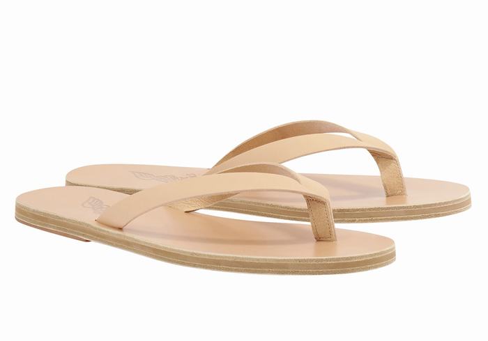 Ancient Greek Sandals Solon Leather Uomo Infradito Beige | OOL3622DY