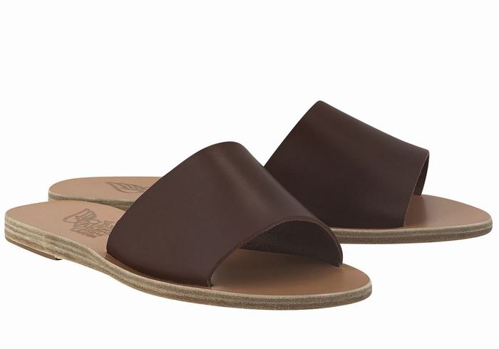 Ancient Greek Sandals Taygete Donna Sandali Scorrevoli Caffè | RIG48100SZ