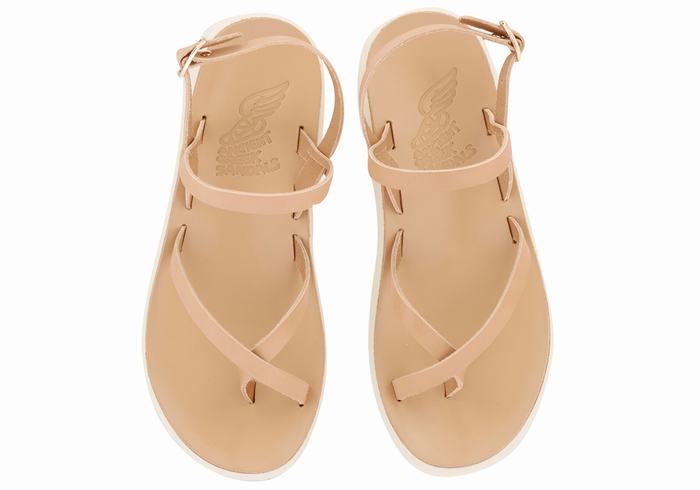 Ancient Greek Sandals Tereza Comfort Donna Sandali Con Cinturino Sul Retro Beige | AIV1676YJ