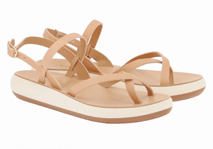 Ancient Greek Sandals Tereza Comfort Donna Sandali Con Cinturino Sul Retro Beige | AIV1676YJ