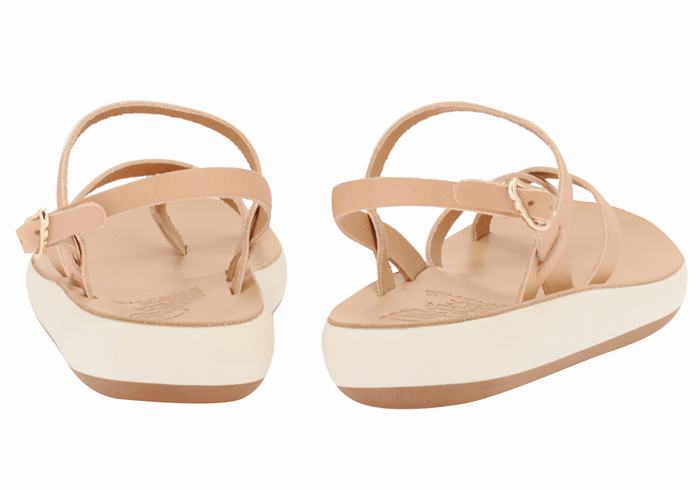 Ancient Greek Sandals Tereza Comfort Donna Sandali Con Cinturino Sul Retro Beige | AIV1676YJ