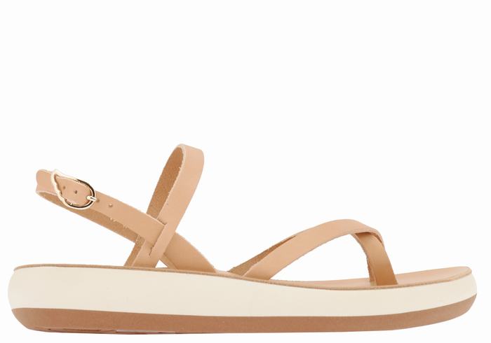 Ancient Greek Sandals Tereza Comfort Donna Sandali Con Cinturino Sul Retro Beige | AIV1676YJ