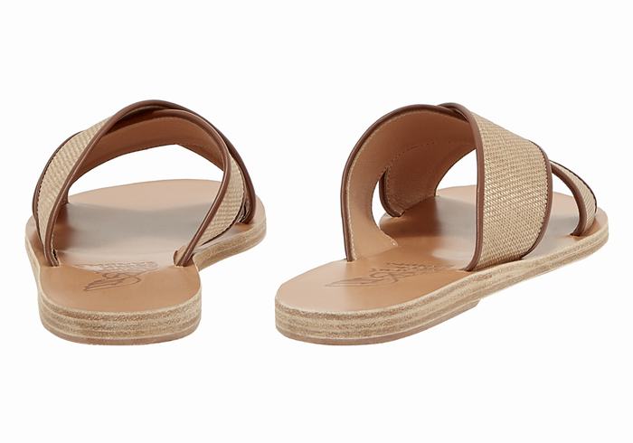 Ancient Greek Sandals Thais Donna Sandali Scorrevoli Beige Marroni | ZRZ5438ME