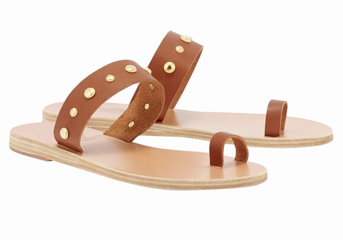 Ancient Greek Sandals Thalia Bee Donna Sandali Con Puntale Marroni Scuro | CTH9343ZL