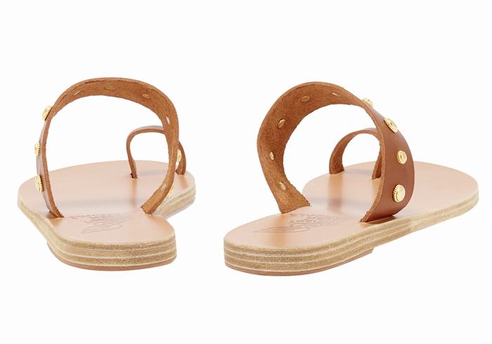 Ancient Greek Sandals Thalia Bee Donna Sandali Con Puntale Marroni Scuro | CTH9343ZL