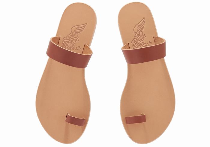 Ancient Greek Sandals Thalia Leather Donna Sandali Con Puntale Marroni Scuro | OKB1488KZ