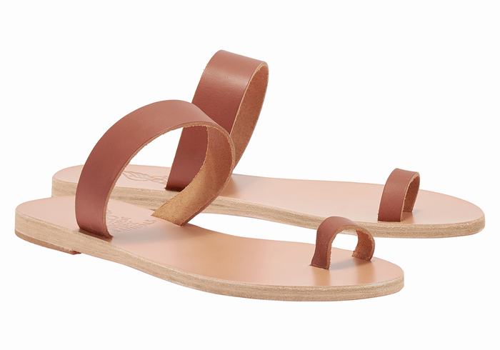 Ancient Greek Sandals Thalia Leather Donna Sandali Con Puntale Marroni Scuro | OKB1488KZ