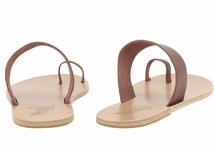 Ancient Greek Sandals Thalos Uomo Sandali Con Puntale Caffè | IVF1335FG