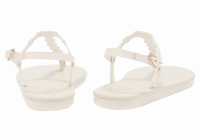 Ancient Greek Sandals Velos Flip Flop Donna Sandali Con Cinturino Sul Retro Bianche | SIE356DC