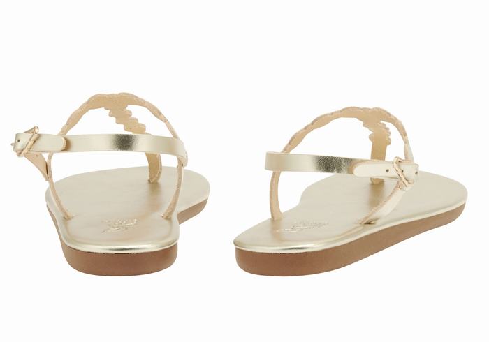 Ancient Greek Sandals Velos Flip Flop Donna Sandali Con Cinturino Sul Retro Oro Bianche | GBW1194WO