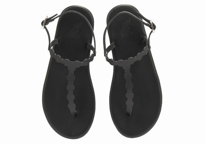 Ancient Greek Sandals Velos Flip Flop Donna Sandali Con Cinturino Sul Retro Nere | AIP5295OV