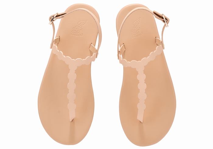 Ancient Greek Sandals Velos Flip Flop Donna Sandali Con Cinturino Sul Retro Beige | YJP7471XH