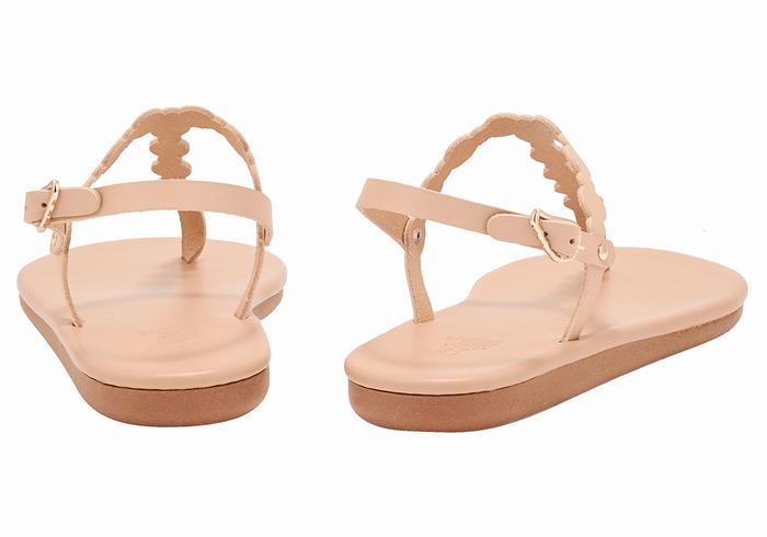 Ancient Greek Sandals Velos Flip Flop Donna Sandali Con Cinturino Sul Retro Beige | YJP7471XH