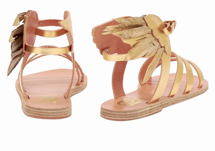 Ancient Greek Sandals Victory Of Samothrace Donna Sandali Con Cinturino Oro | MPP6837DP