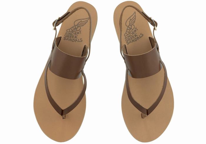 Ancient Greek Sandals Zoe Flip Flop Leather Donna Sandali Con Cinturino Sul Retro Marroni Scuro | GCY2186ZV