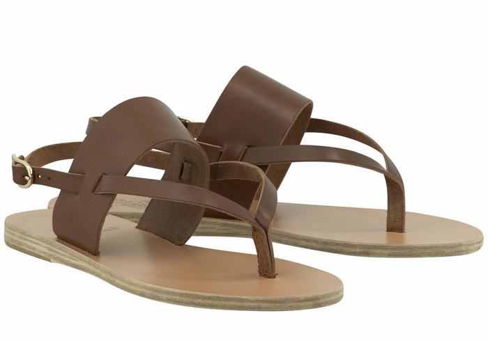 Ancient Greek Sandals Zoe Flip Flop Leather Donna Sandali Con Cinturino Sul Retro Marroni Scuro | GCY2186ZV