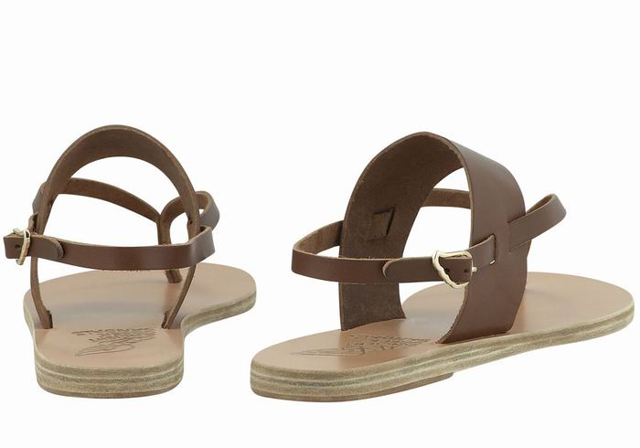 Ancient Greek Sandals Zoe Flip Flop Leather Donna Sandali Con Cinturino Sul Retro Marroni Scuro | GCY2186ZV