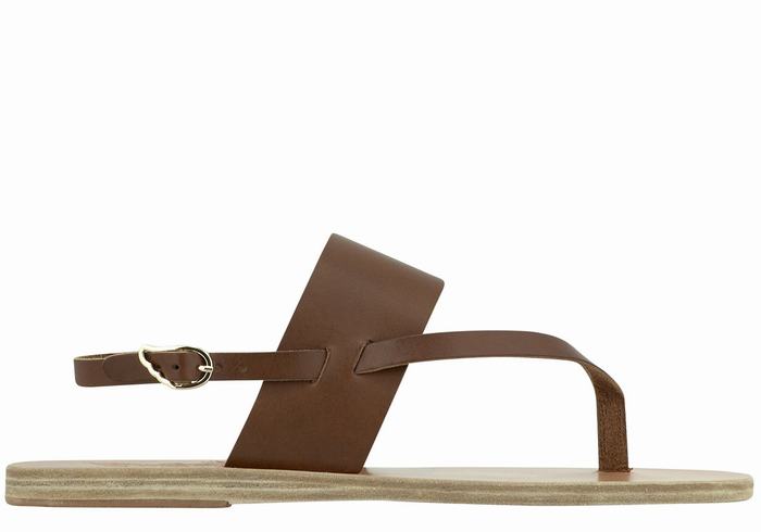 Ancient Greek Sandals Zoe Flip Flop Leather Donna Sandali Con Cinturino Sul Retro Marroni Scuro | GCY2186ZV